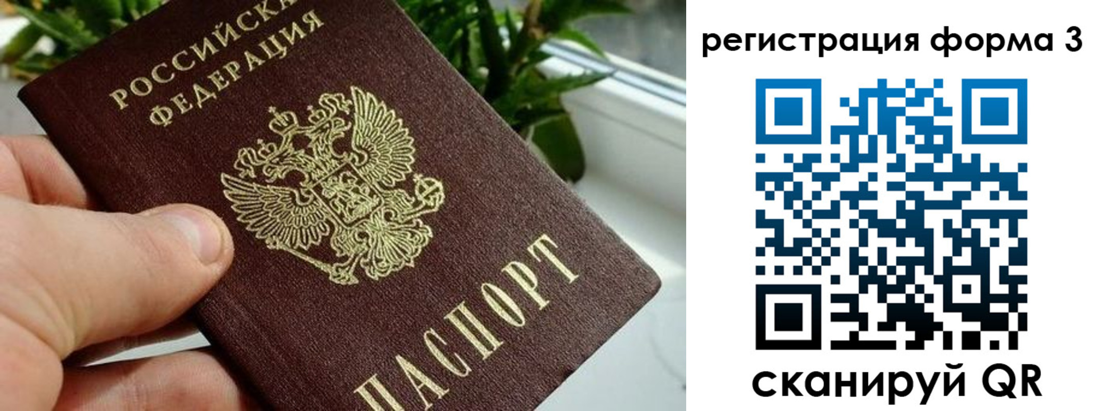 прописка штамп в Кимовске